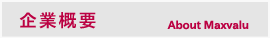 企業概要